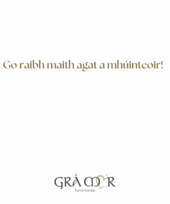 Alternative view of Cártaí as Gaeilge - An Múinteoir is fearr