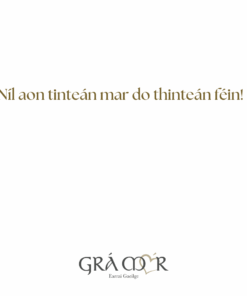 Alternative view of Cártaí as Gaeilge - Teach Nua